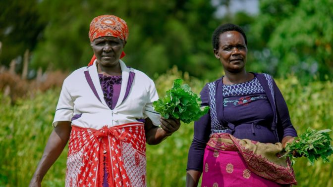 To prevent food and income loss due to environmental factors, Mace Foods improves the income and livelihoods of women and farmers by producing and selling dehydrated and dried spices, leafy vegetables and herbs in Kenya.